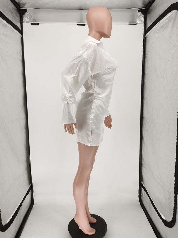The SHIRT Dress