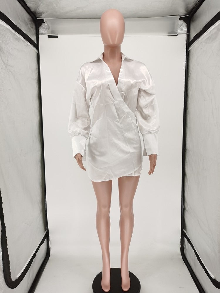 The SHIRT Dress