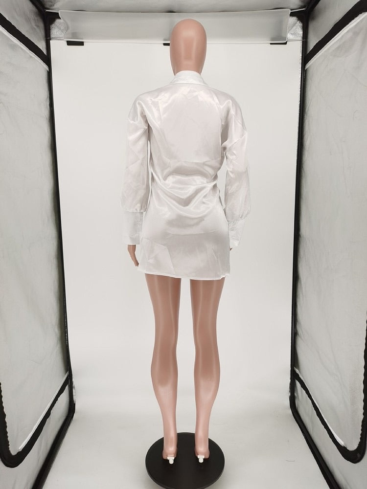 The SHIRT Dress